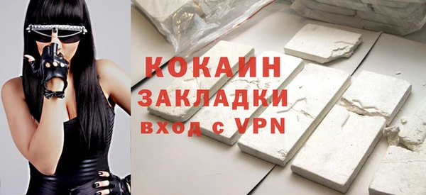 стаф Верея