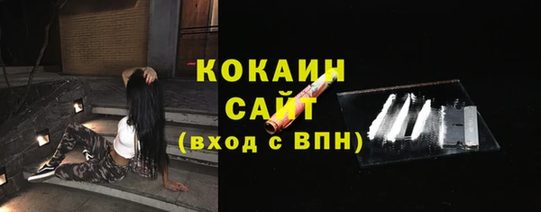 стаф Верея