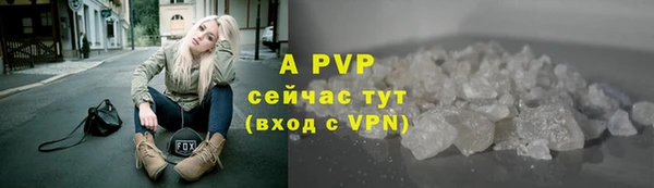 стаф Верея