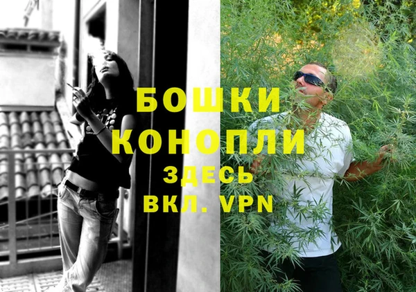 стаф Верея