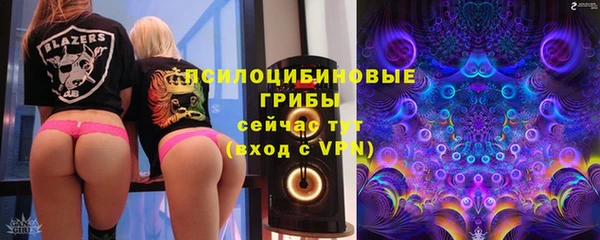 стаф Верея