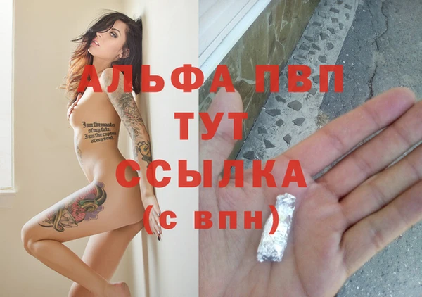 стаф Верея